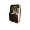 China 8inch 10inch 7.4V video speaker promotion  portable battery powered party speaker supplier