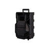 10inc 12inch 15 inch big sound speaker box disco light trolley speaker with 2 microphone